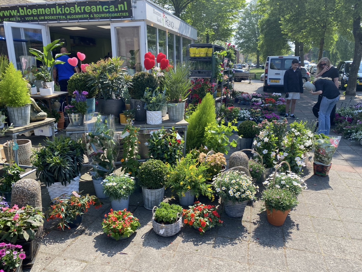 Planten & groen