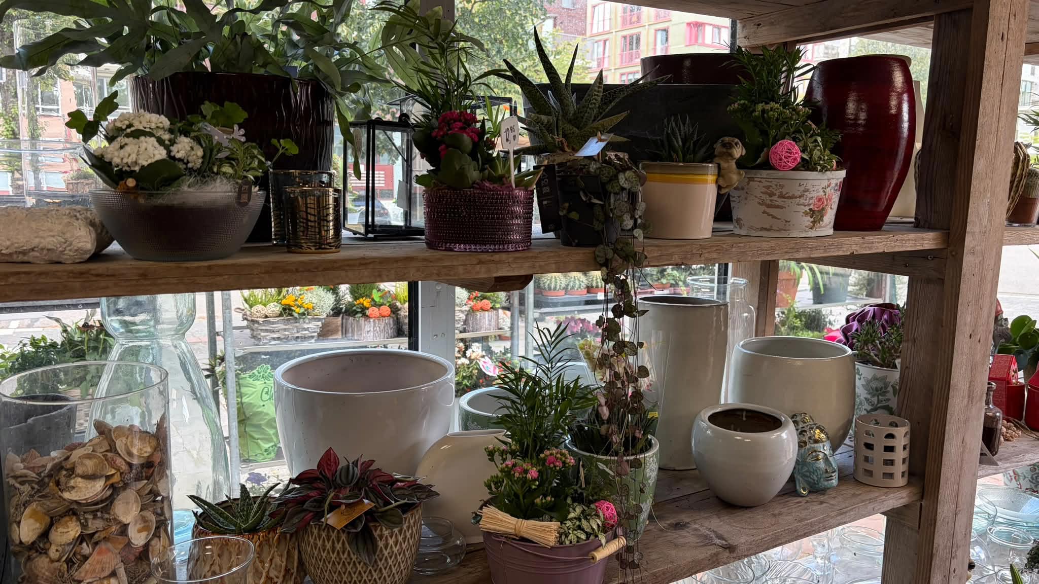 Planten en potten bij de kiosk