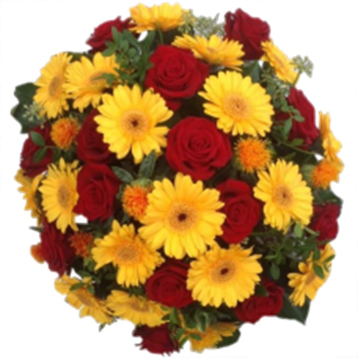Biedermeier Rood/Geel/Oranje/Groen