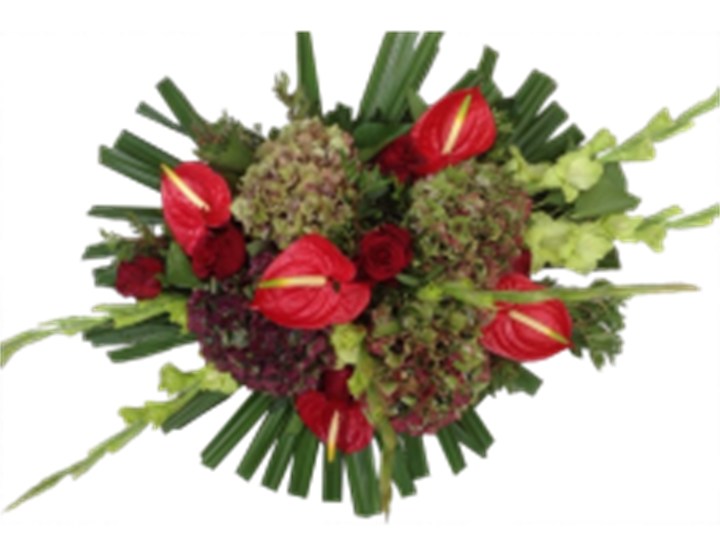 Exotisch Langwerpig Rood/Lichtgeel/Groen