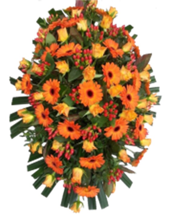 Langwerpig Oranje/Rood/Groen