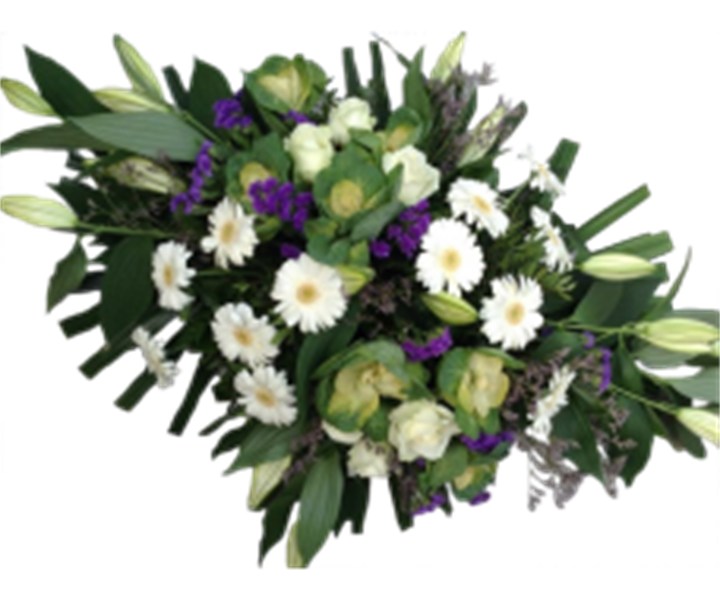 Langwerpig Paars/Wit/Groen
