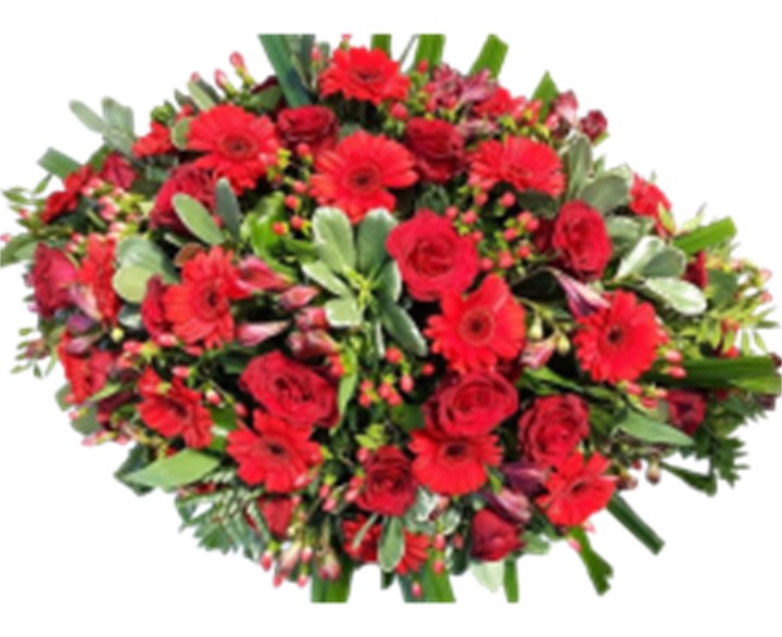 Langwerpig Rood/Groen – Gerbera & Besjes