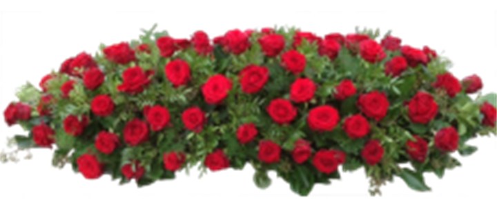 Langwerpig Rood/Groen – Rozen