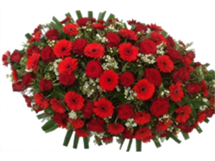 Langwerpig Rood/Wit/Groen – Luxe