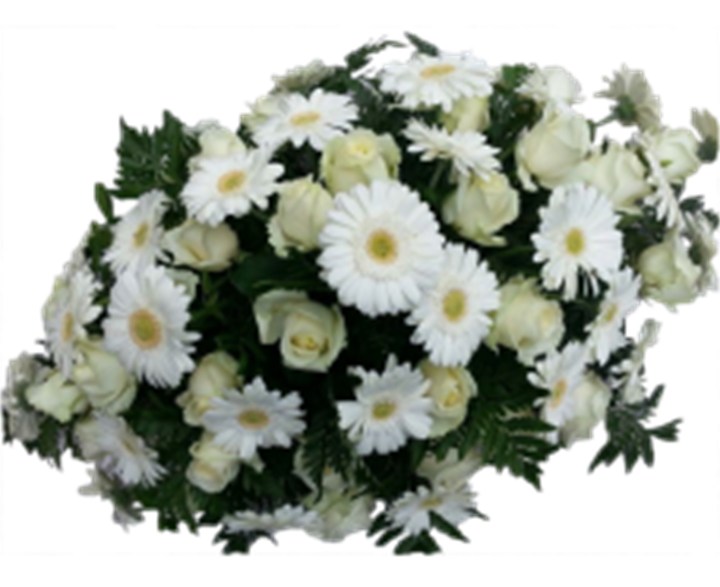 Langwerpig Wit/Groen – Gerbera & Roos