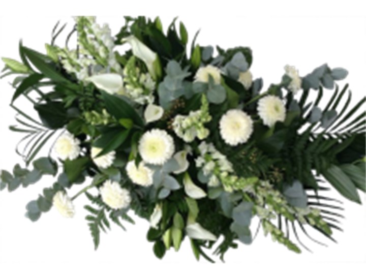 Langwerpig Wit/Groen – Groepsgewijs