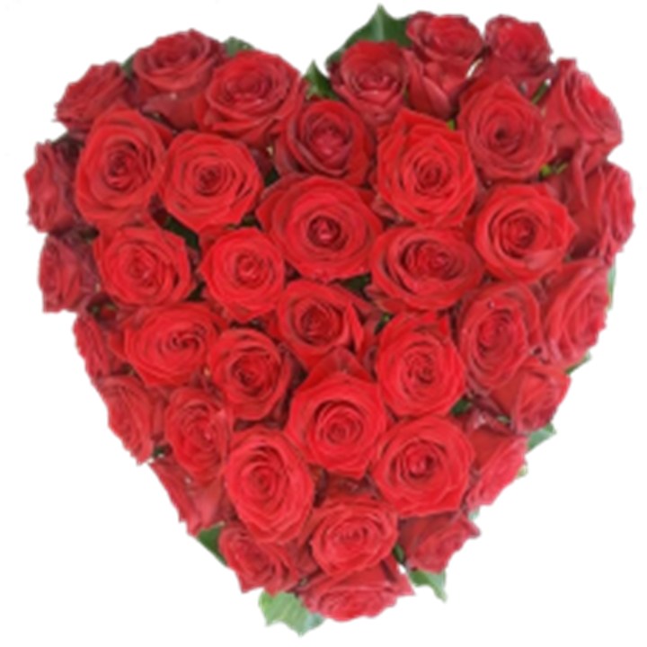 Rood Hart